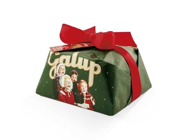 Panettone Gocce di Cioccolato - Galup 1922